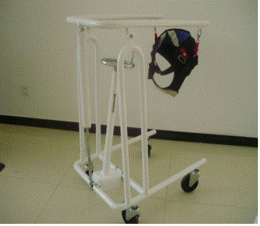 物理治疗与康复设备中的减重站立器 功能、应用与前景